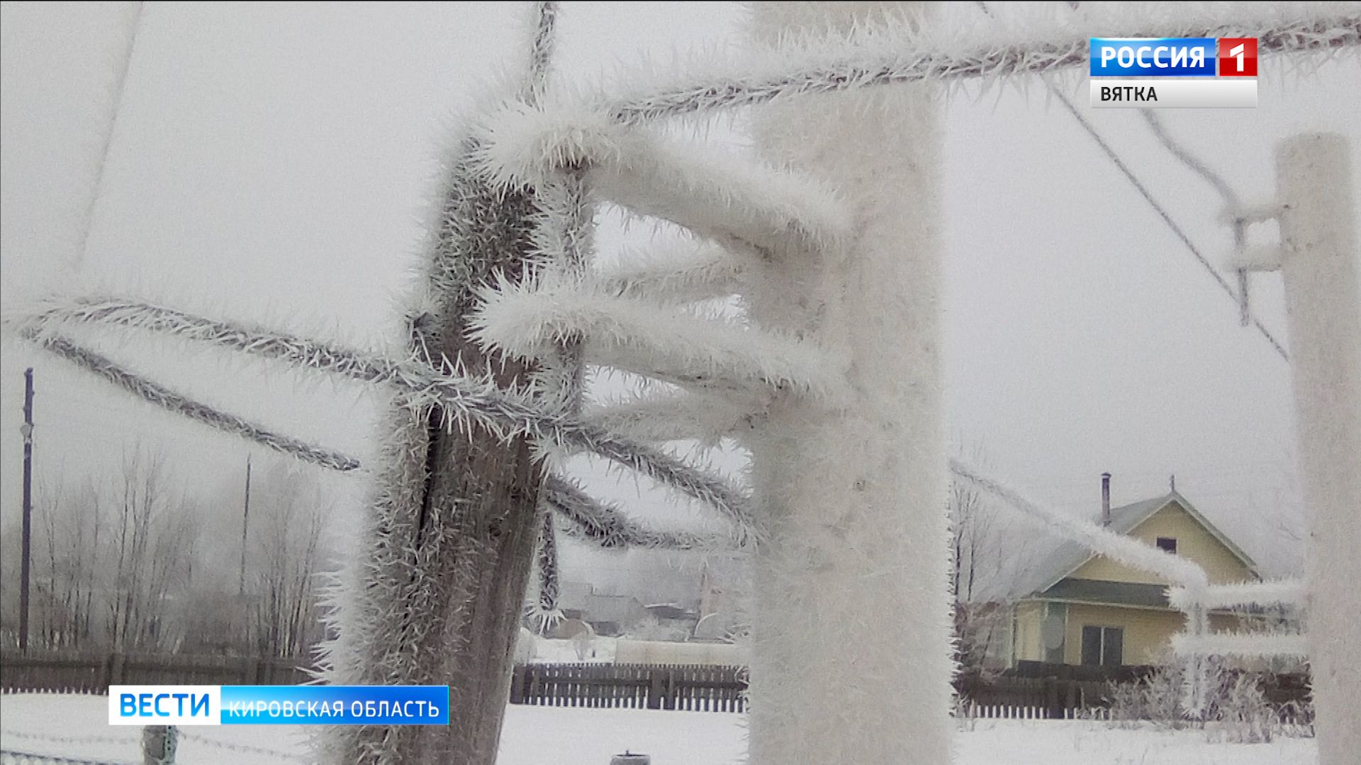 В Кировской области зафиксировали редкое природное явление - зернистую изморозь