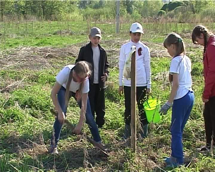 70 деревьев - за Победу