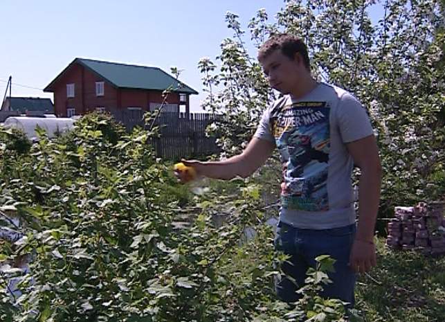 Вести. Сад. Огород (01.06.2015)