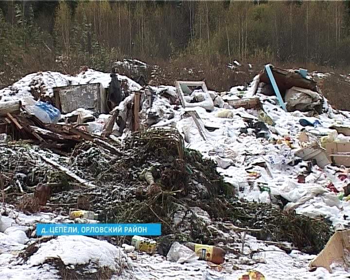 Свалка в деревне Цепели, Орловского района