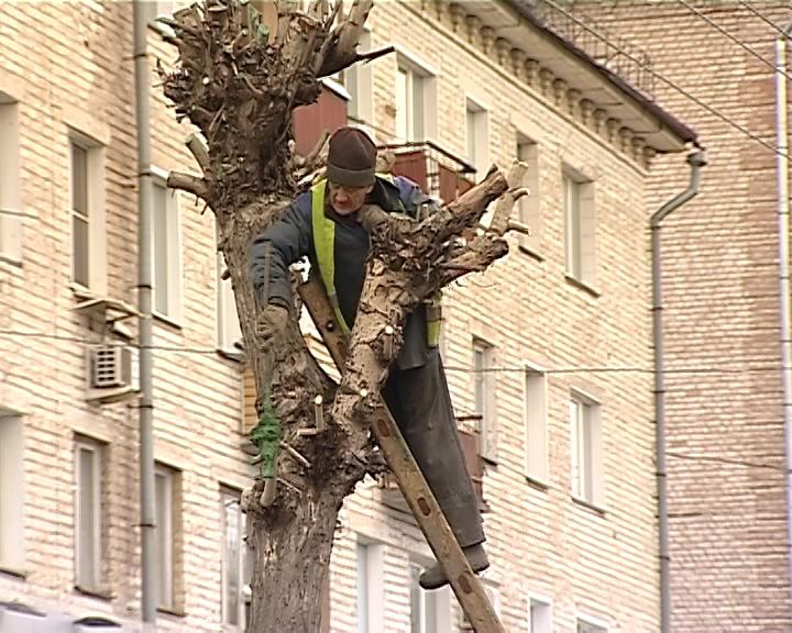 В Кирове начали 