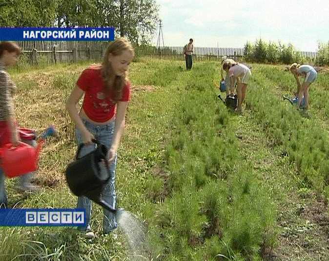 Кировские старшеклассники смогут заработать в каникулы