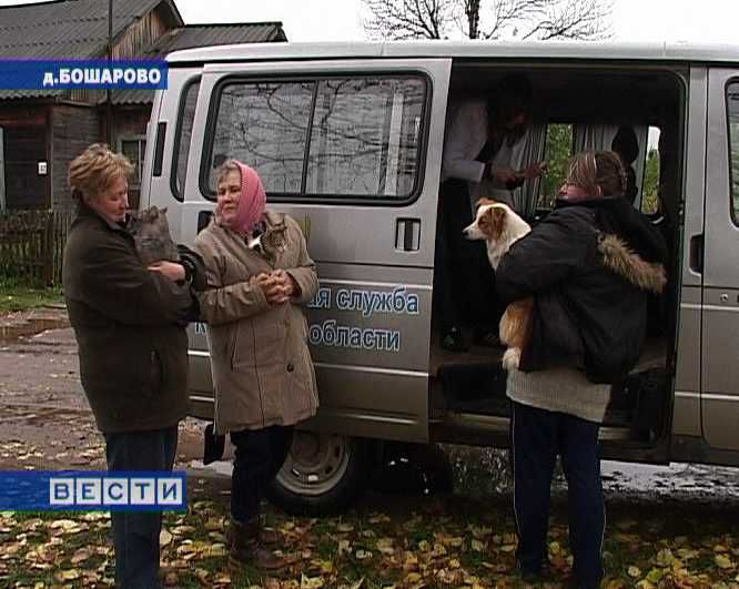 В Кировской области бешенство - в четверти исследованных проб