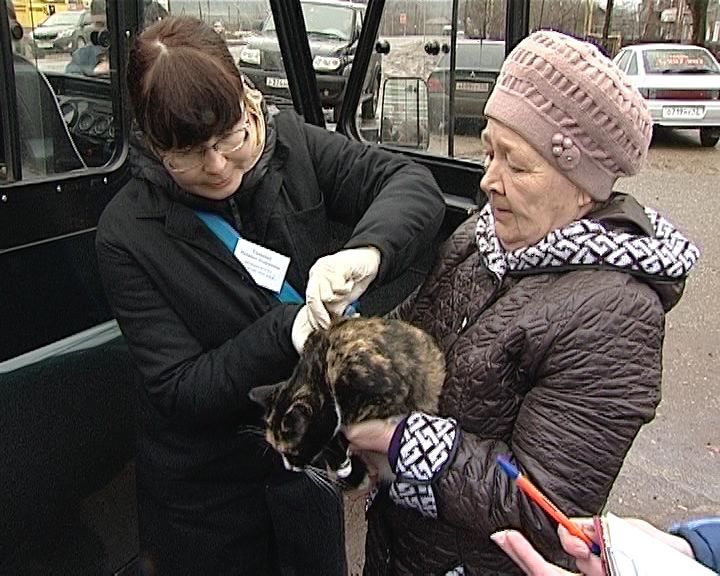 В Кирове проведут внеплановую вакцинацию против бешенства