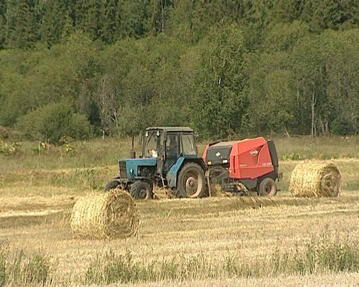 Дороги деревенские. Племзавод «Октябрьский» Кумёнского района (13.08.2016)