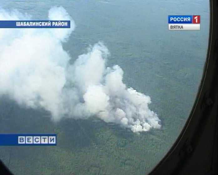 В Кировской области нет лесных пожаров