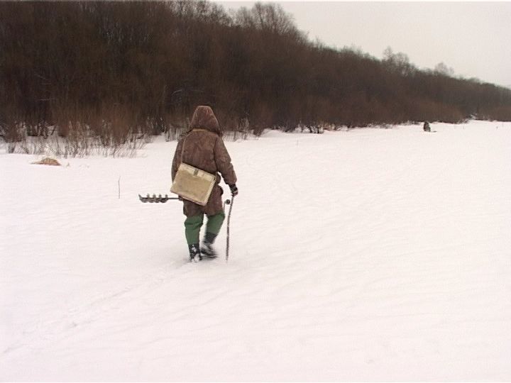 В заповеднике 