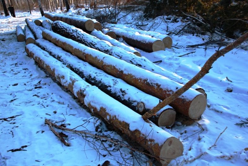 В Кировской области 