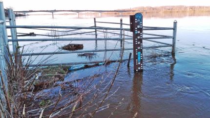 14 мая вода в реке Вятке прибыла на 6 см.