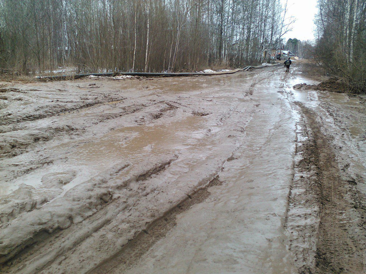 В Кировской области самая 