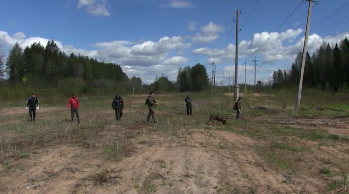 В Куменском районе прошли поиски пропавшего мужчины