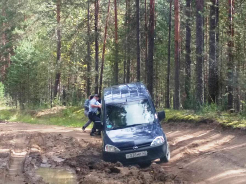 В Кильмезском районе сотрудники ГИБДД спасли автоледи, застрявшую в лесу.