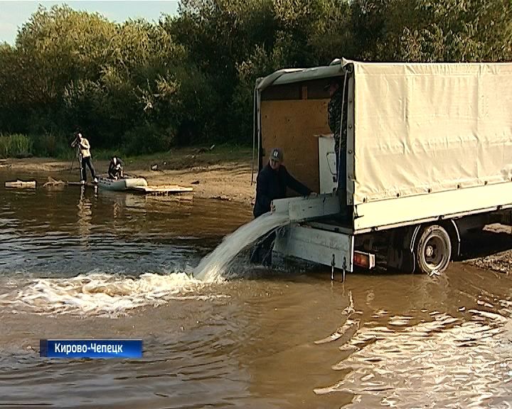 В Вятку выпустили молодую стерлядь