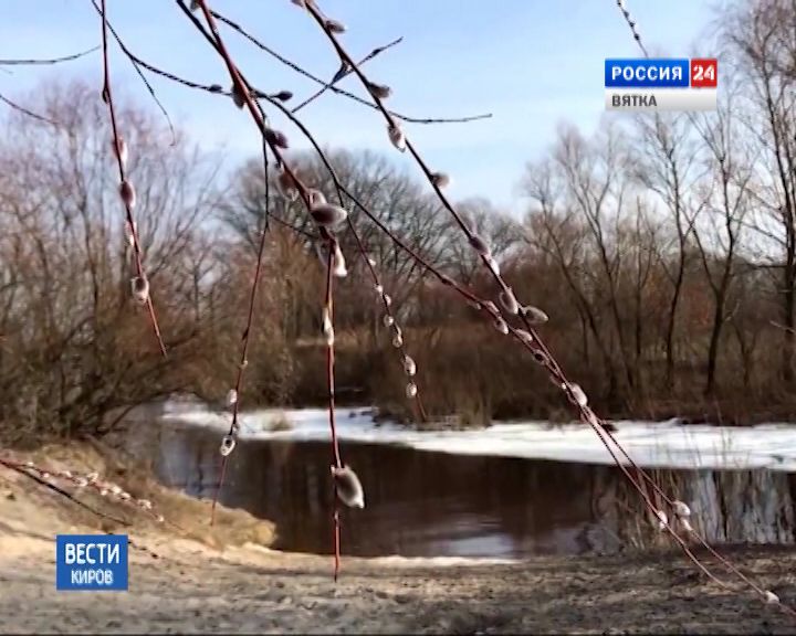 Вести. Киров (Россия-24) 08.03.2019