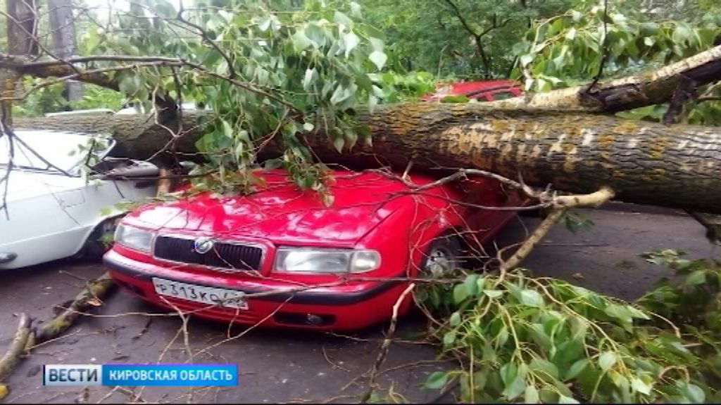 Вести. Кировская область (Россия-1) 10.06.2019