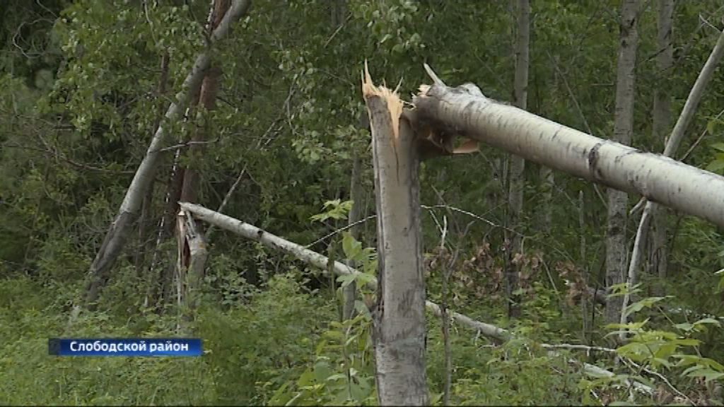 В Слободском районе подсчитывают ущерб от разрушительного смерча