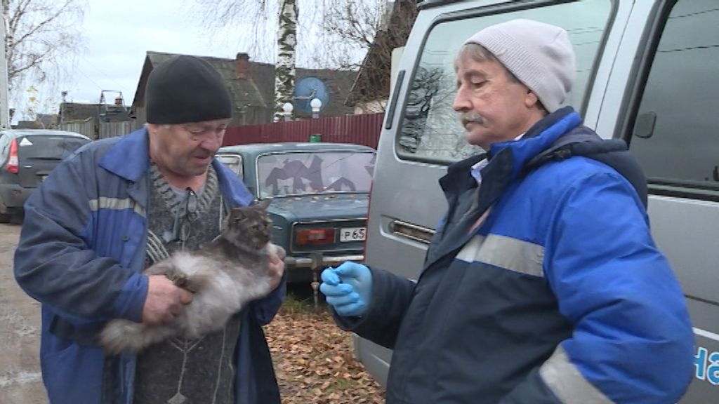 В Кирове началась бесплатная вакцинация домашних животных от бешенства