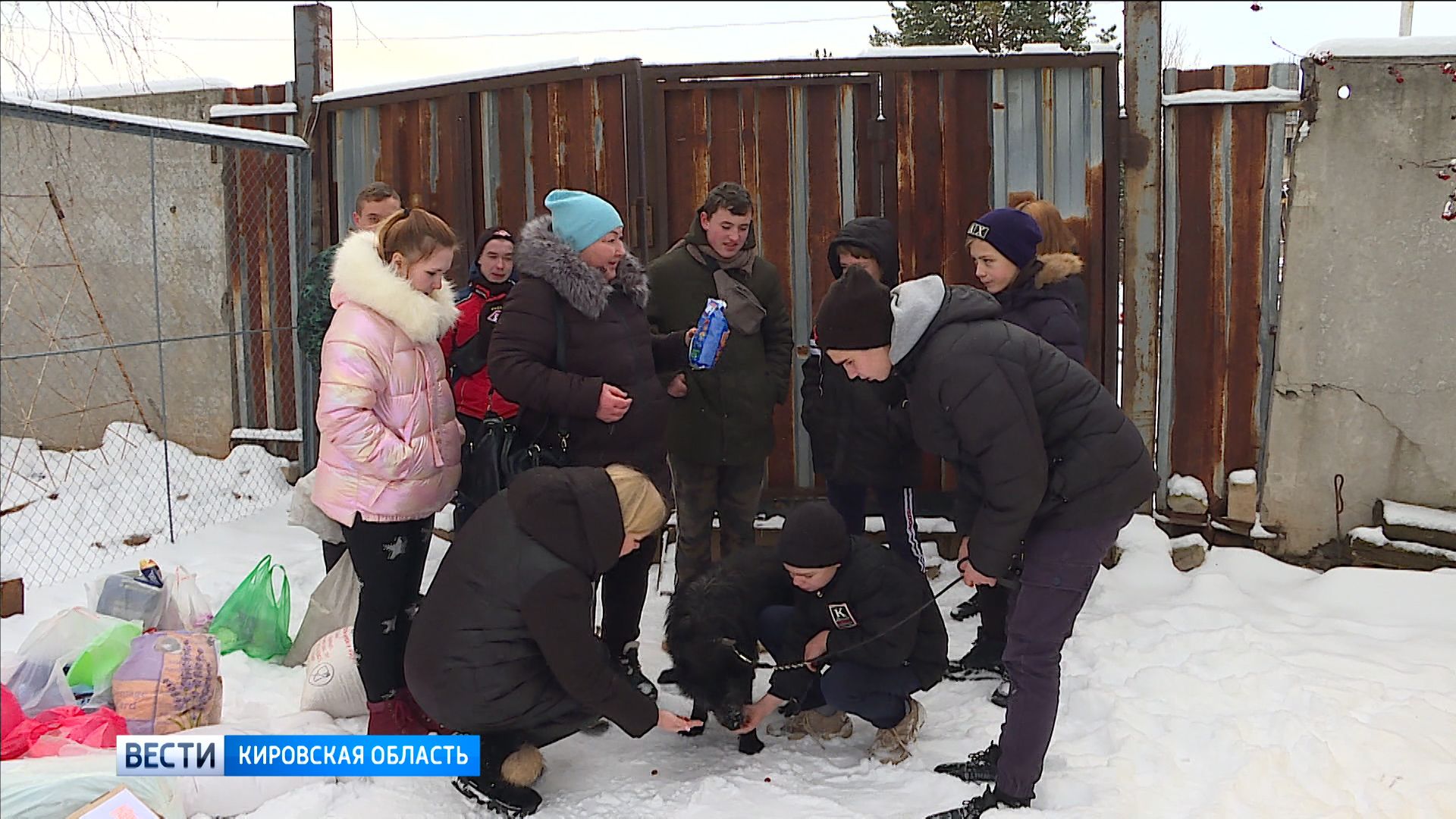 В Нововятске прошла благотворительная акция помощи бездомным животным