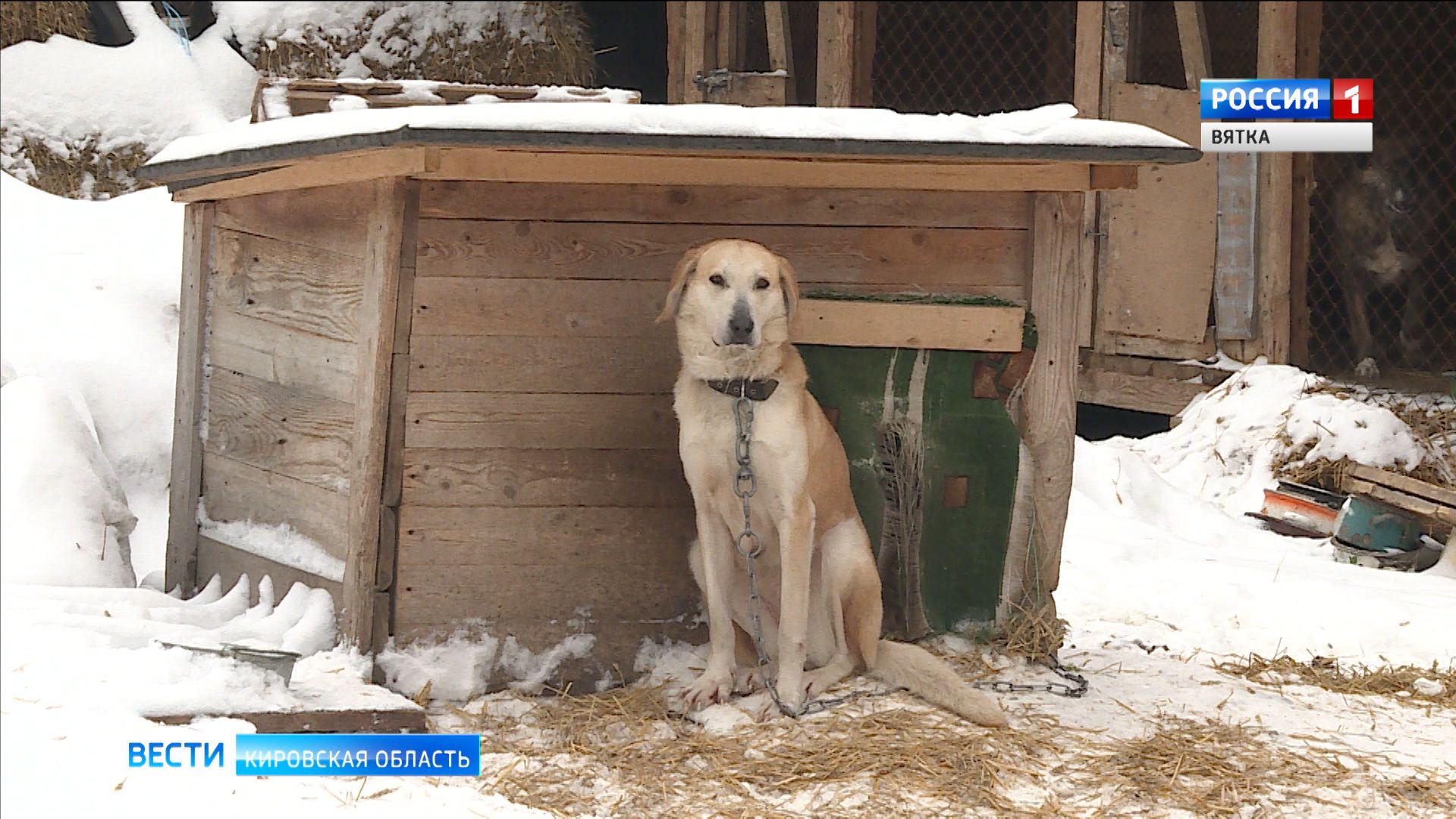 Вести. Кировская область (Россия-1) 04.01.2020