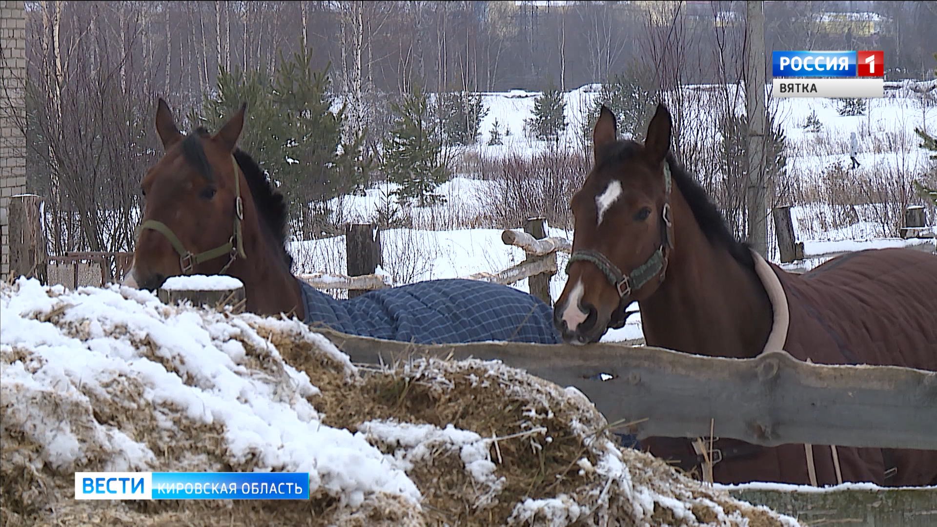 Вести. Кировская область (Россия-1) 09.01.2020