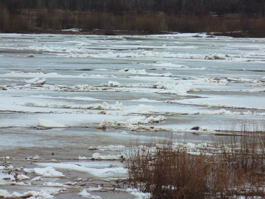 В Кировской области зафиксирован подъем уровня воды в Вятке.