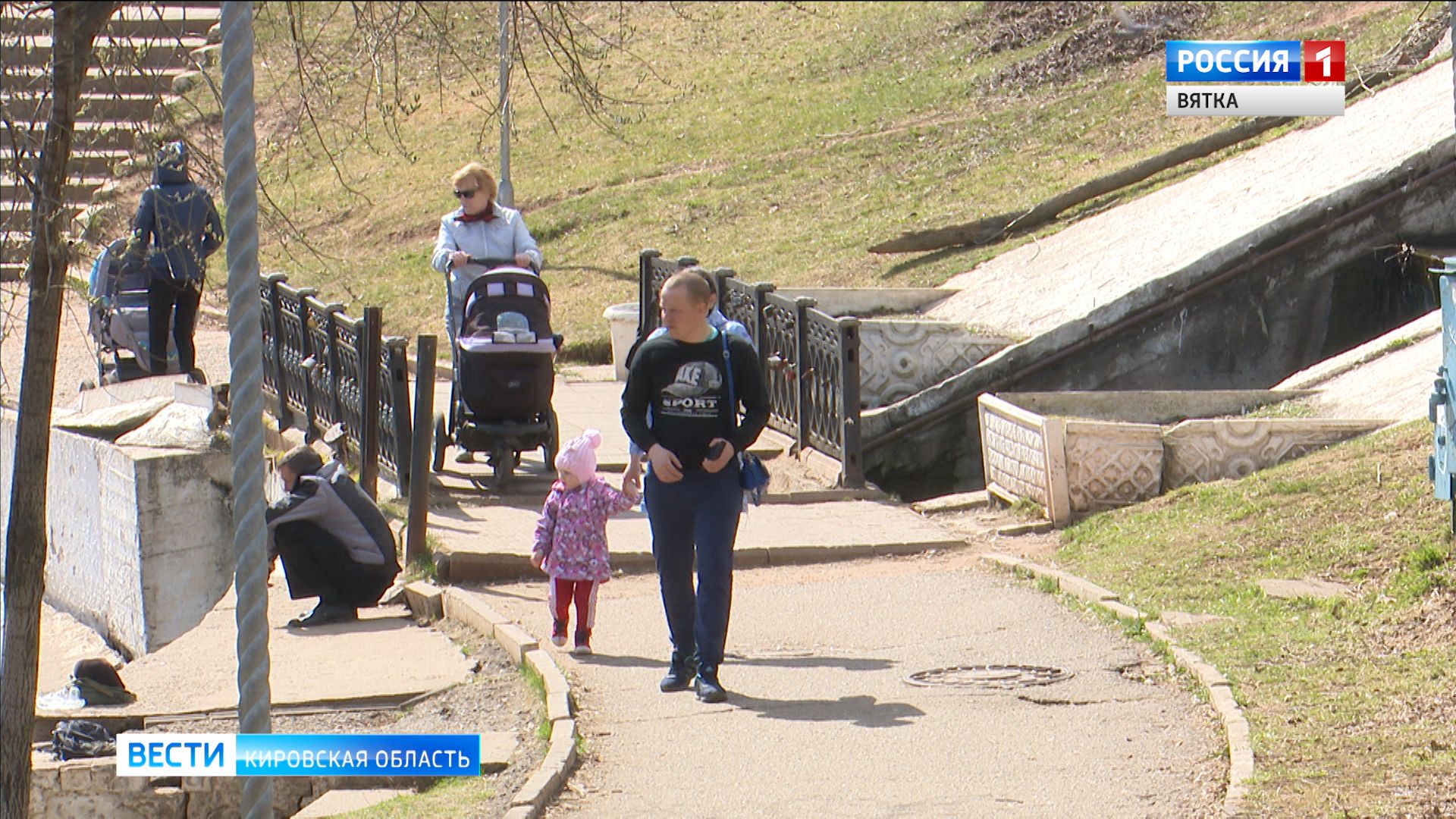 Выплату социальных пособий автоматически продлят на полгода