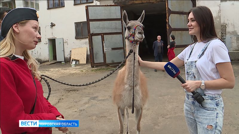 В Кирове застряла цирковая труппа