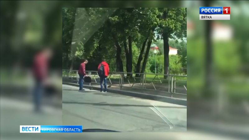 В Кирове помогли утке с утятами перейти дорогу