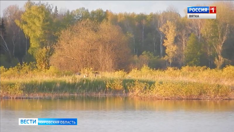 Сотрудники заповедника «Нургуш» сняли на видео токующих тетеревов