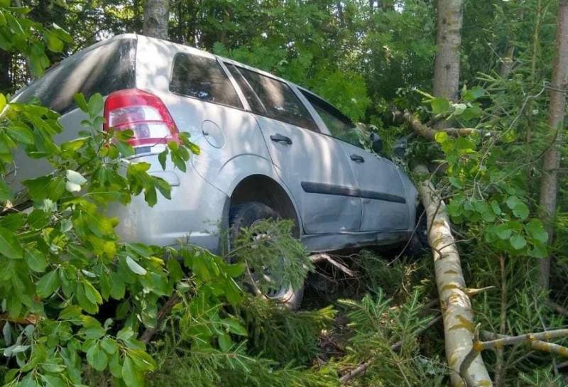 В Котельничском районе иномарка врезалась в дерево.