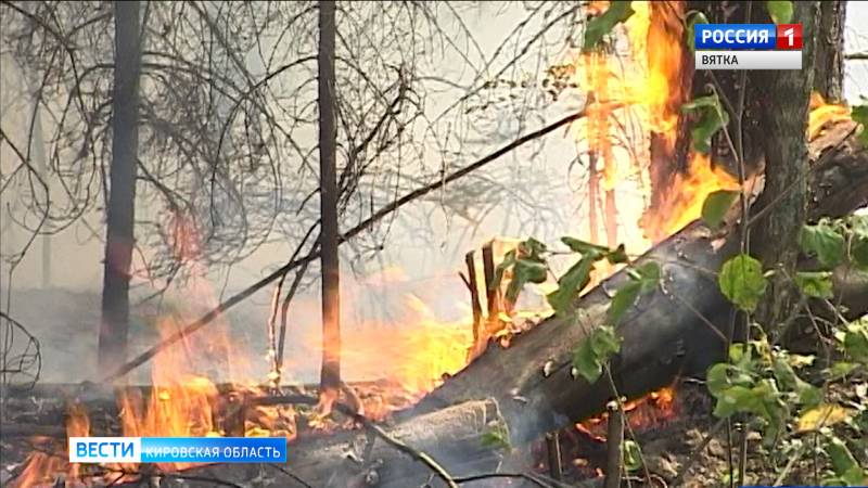 МЧС предупредило о высокой вероятности лесных пожаров