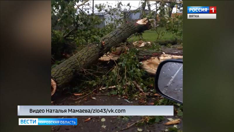 В селе Русском во время грозы повалило деревья