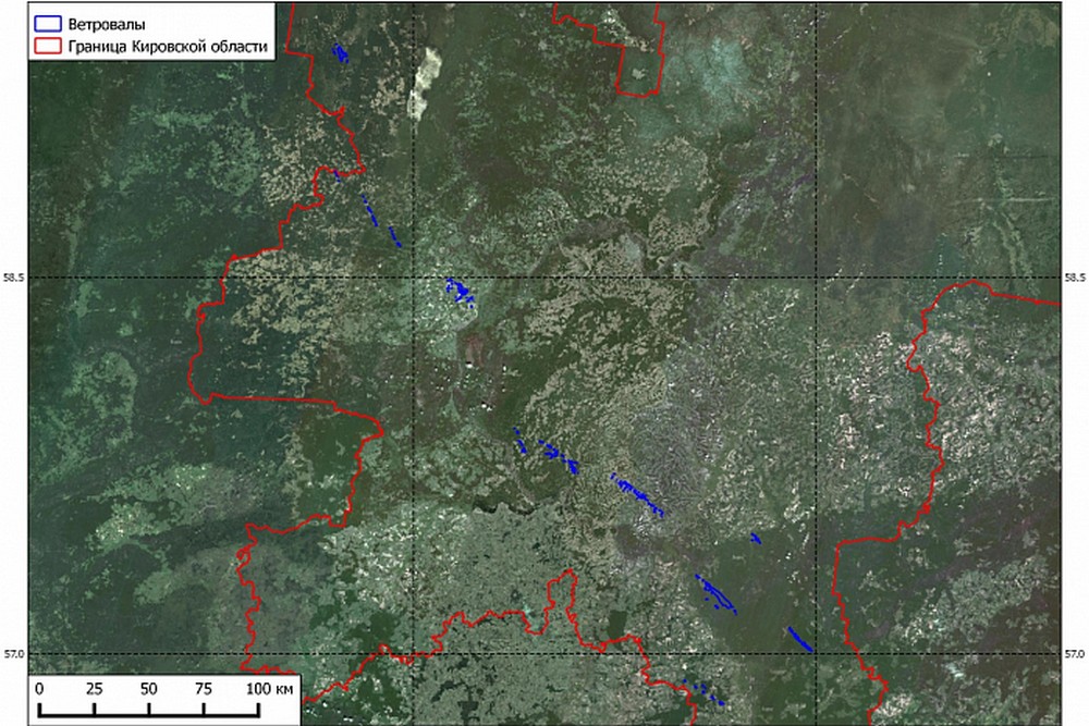 Карта леса кировской области
