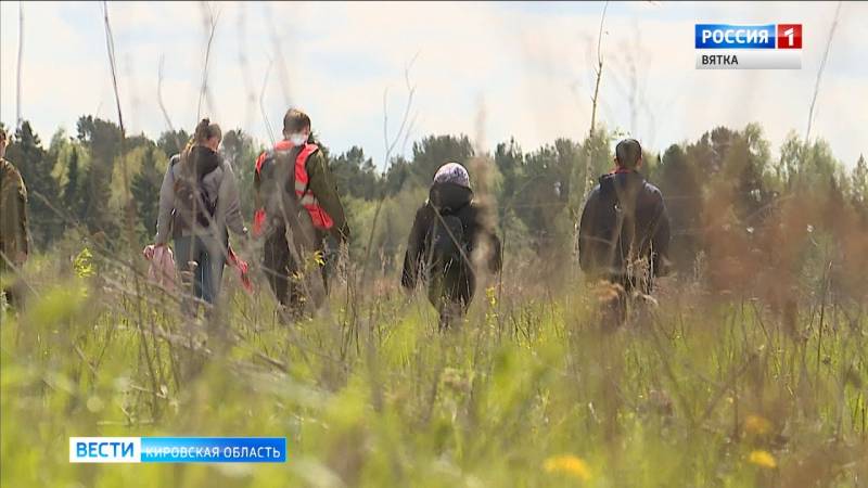 В Кировской области нашли пропавшего 81-летнего грибника