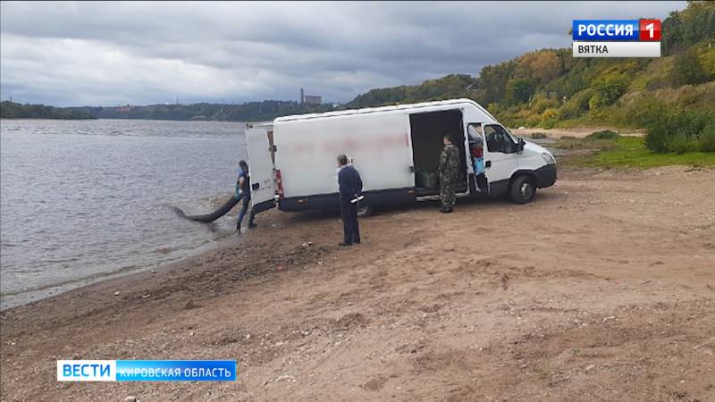 В Вятку выпустили более 40 тысяч мальков стерляди