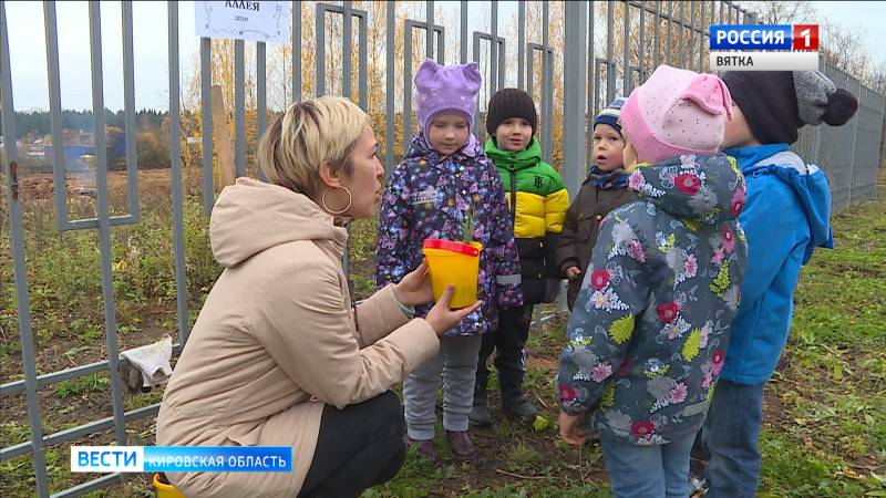 Детский сад в Чистых прудах присоединился к акции по посадке кедров