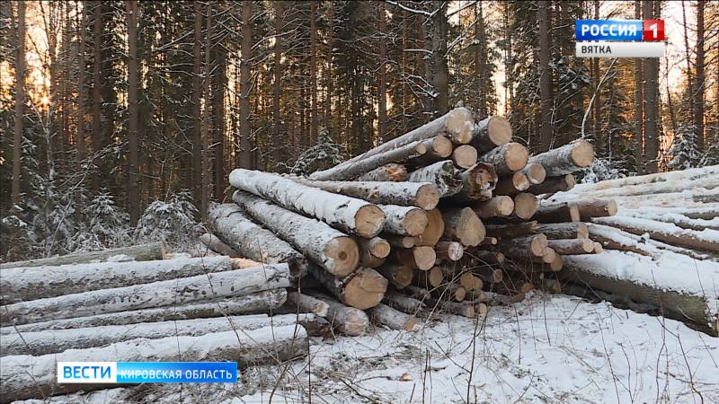 Кировчане обеспокоены вырубкой леса в Порошино