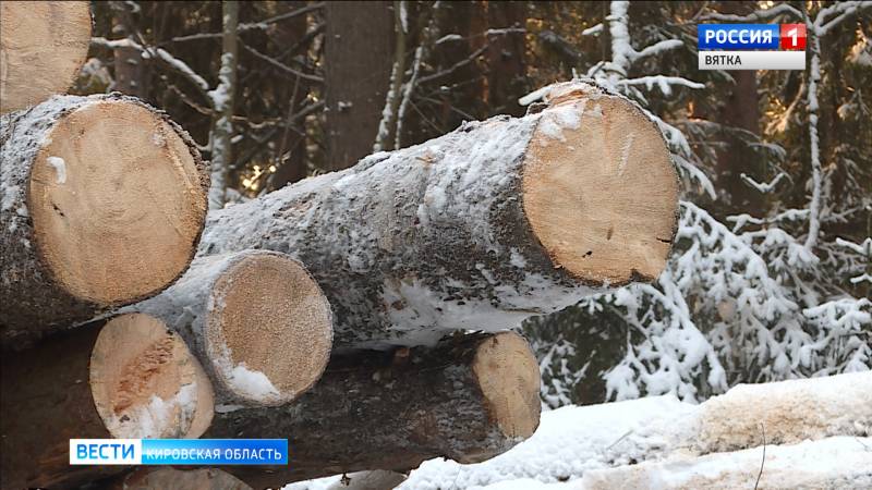 В Порошино незаконно вырубили лес на 4,8 миллиона рублей