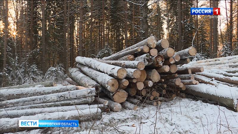 В феврале в Кировской области начнут тестировать систему «умный лес»