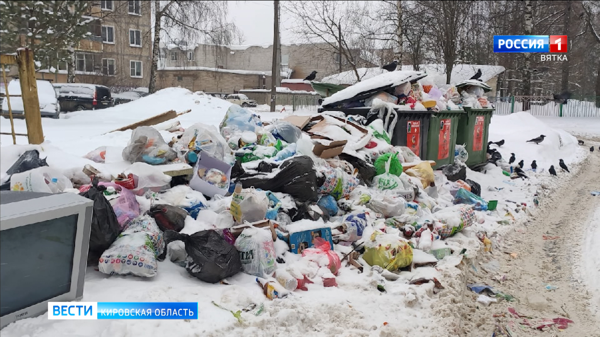 В Кировской области продолжают жаловаться на переполненные мусором контейнеры