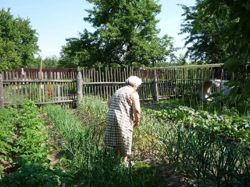 В Слободском районе администрация незаконно брала плату с пенсионерки за ее участок