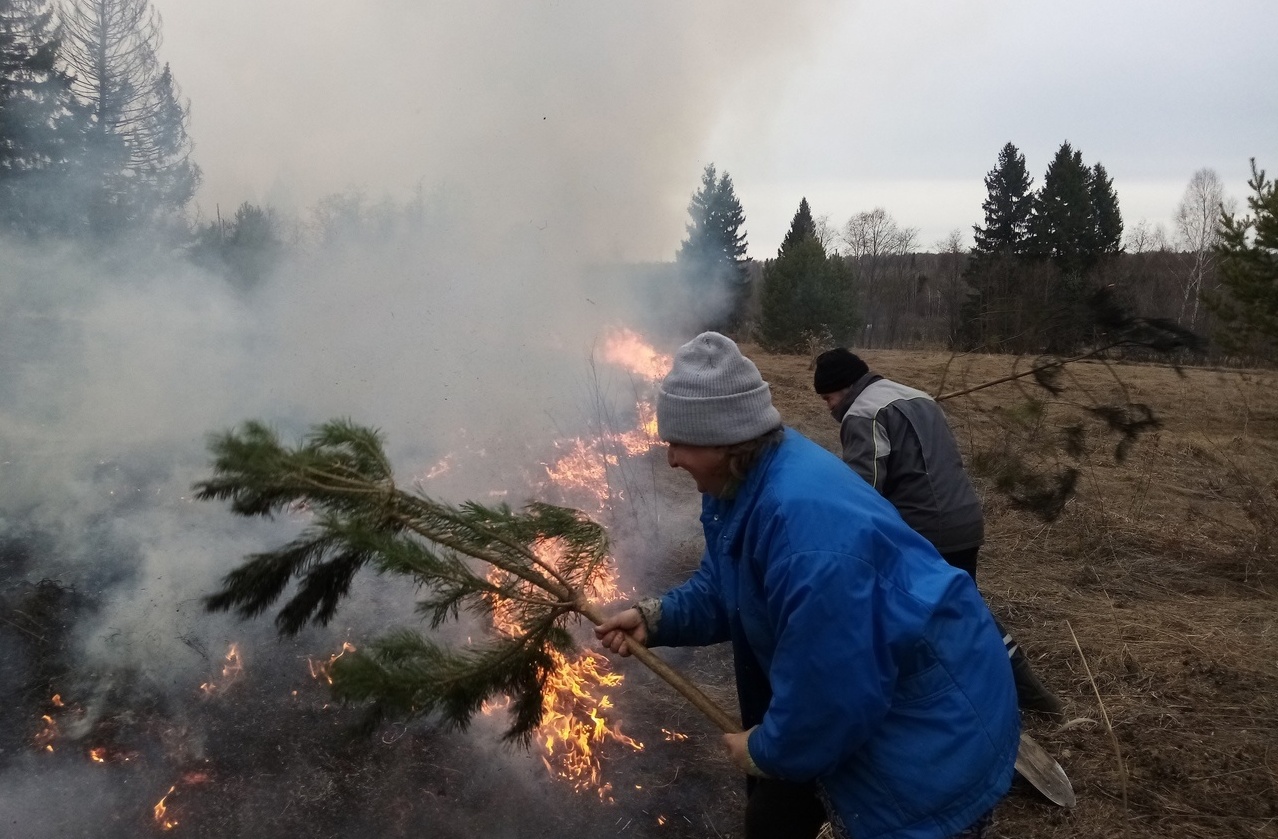 Жители Вятскополянского района помогли спасти лес от пожара