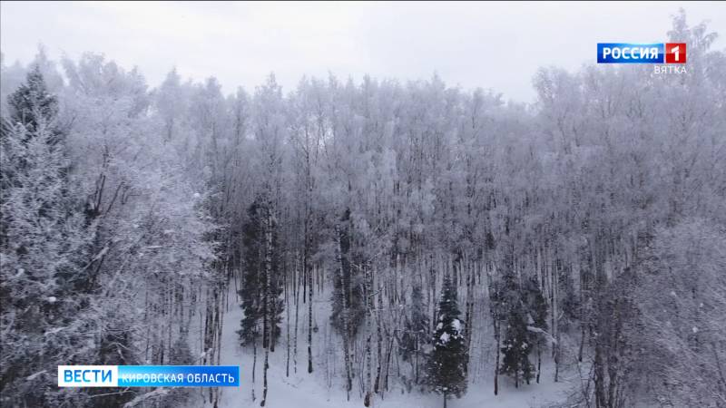 В Кировской области нашли юношу, который четверо суток блуждал в лесу