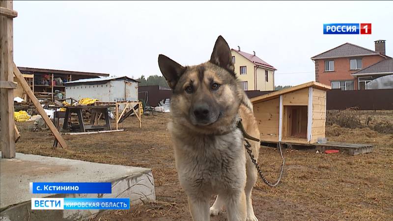 В Кстинино пес Гектор спас соседей от пожара