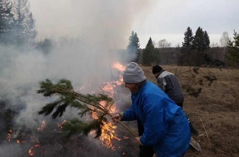 Жители Вятскополянского района помогли спасти лес от пожара