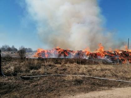 В Котельниче предприятие незаконно складировало отходы деревообработки