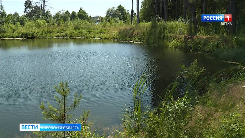 В Малмыжском районе во время купания утонул мужчина