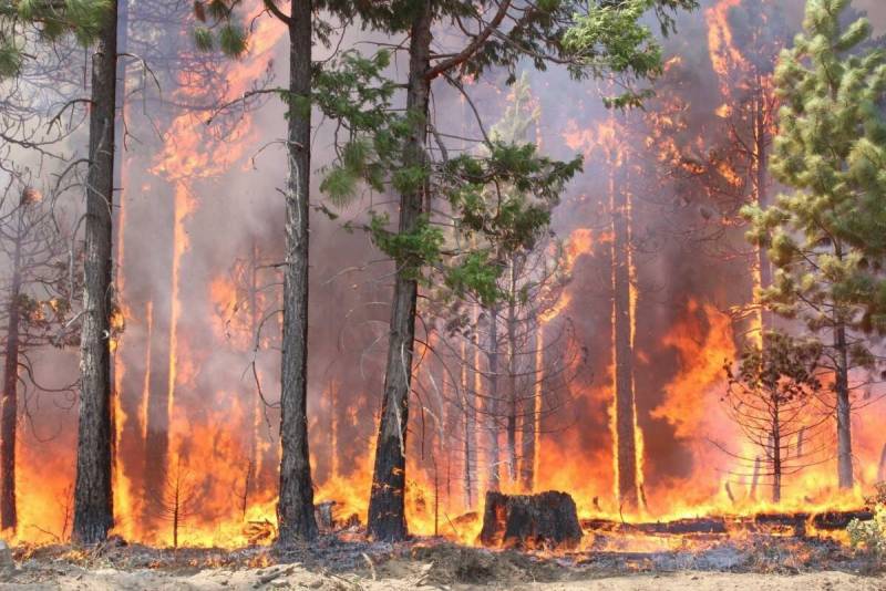 В Кировской области объявили режим чрезвычайной пожарной опасности