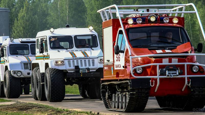 В Кировской области прокуратура подала в суд на министерство лесного хозяйства