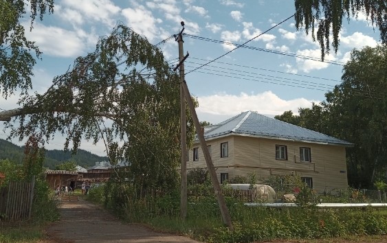 В Вятскополянском районе из-за сильного ветра деревья падали на машины и провода